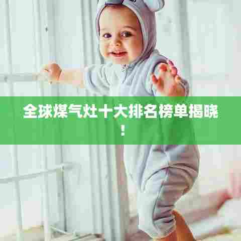 全球煤气灶十大排名榜单揭晓！