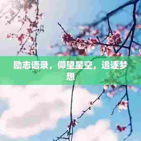 励志语录，仰望星空，追逐梦想