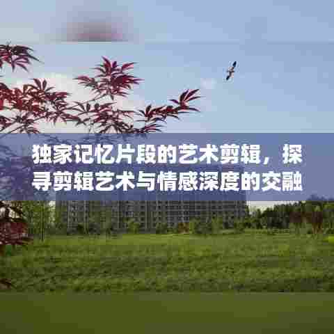 独家记忆片段的艺术剪辑，探寻剪辑艺术与情感深度的交融之旅