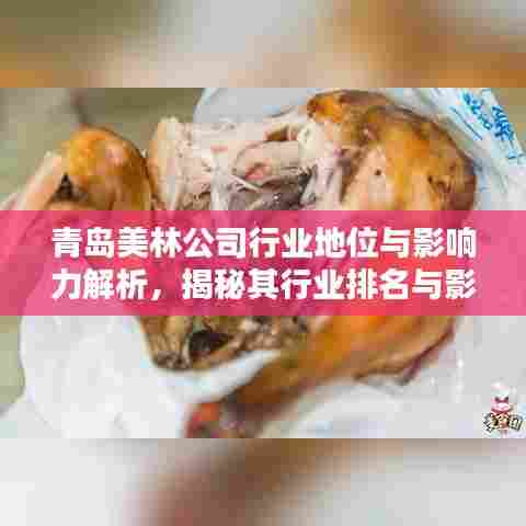 青岛美林公司行业地位与影响力解析，揭秘其行业排名与影响力