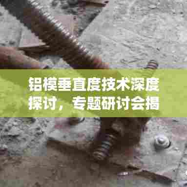 铝模垂直度技术深度探讨，专题研讨会揭秘铝模应用与发展趋势