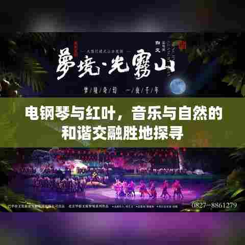 电钢琴与红叶，音乐与自然的和谐交融胜地探寻