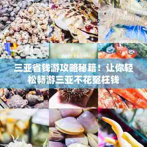 三亚省钱游攻略秘籍！让你轻松畅游三亚不花冤枉钱