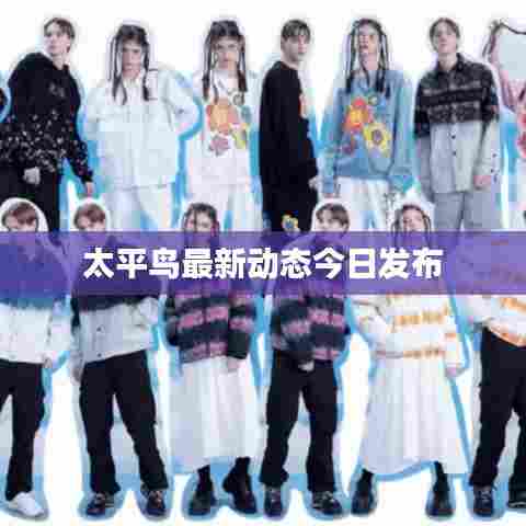 太平鸟最新动态今日发布