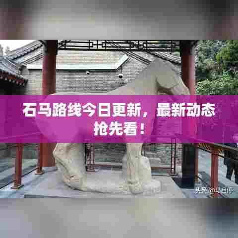 石马路线今日更新，最新动态抢先看！
