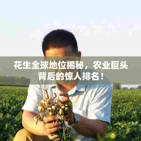 花生全球地位揭秘，农业巨头背后的惊人排名！