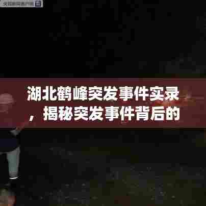 湖北鹤峰突发事件实录，揭秘突发事件背后的真相