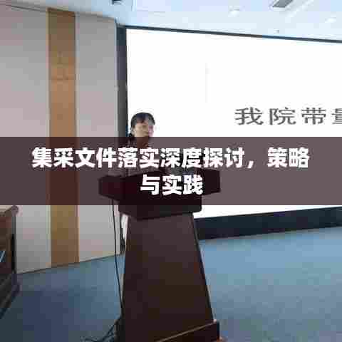 集采文件落实深度探讨，策略与实践