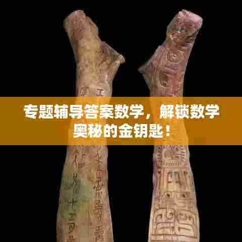 专题辅导答案数学，解锁数学奥秘的金钥匙！