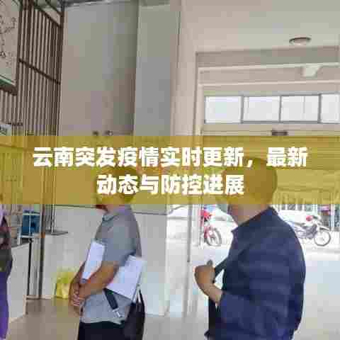 云南突发疫情实时更新，最新动态与防控进展