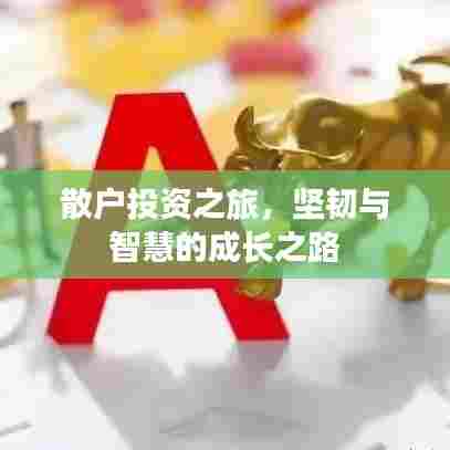 散户投资之旅，坚韧与智慧的成长之路