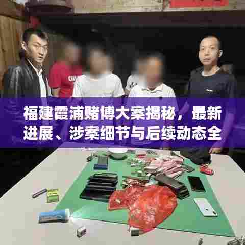 福建霞浦赌博大案揭秘，最新进展、涉案细节与后续动态全知道