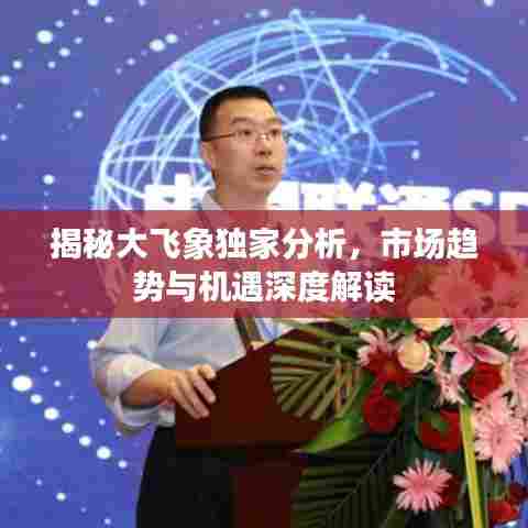 揭秘大飞象独家分析，市场趋势与机遇深度解读
