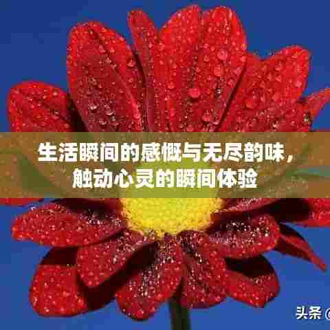 生活瞬间的感慨与无尽韵味，触动心灵的瞬间体验