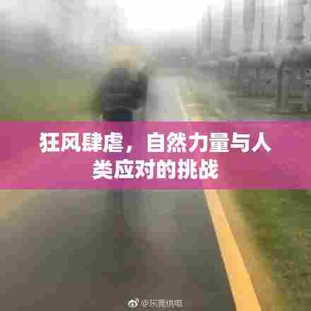 狂风肆虐，自然力量与人类应对的挑战