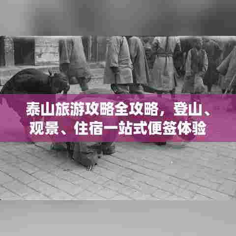 泰山旅游攻略全攻略，登山、观景、住宿一站式便签体验