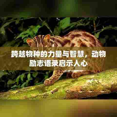 跨越物种的力量与智慧，动物励志语录启示人心