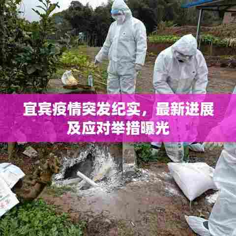 宜宾疫情突发纪实，最新进展及应对举措曝光