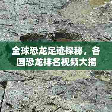 全球恐龙足迹探秘，各国恐龙排名视频大揭秘！