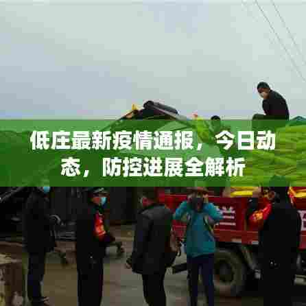 低庄最新疫情通报，今日动态，防控进展全解析