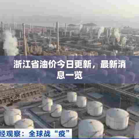浙江省油价今日更新，最新消息一览