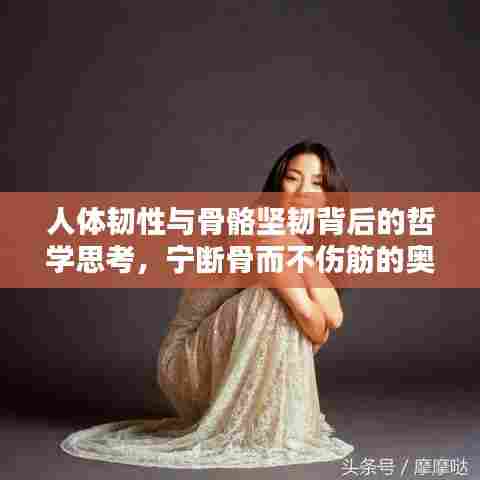 人体韧性与骨骼坚韧背后的哲学思考，宁断骨而不伤筋的奥秘