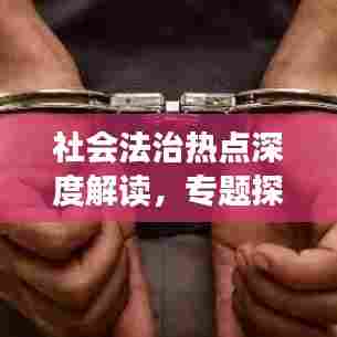 社会法治热点深度解读，专题探讨与启示
