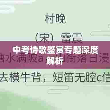 中考诗歌鉴赏专题深度解析