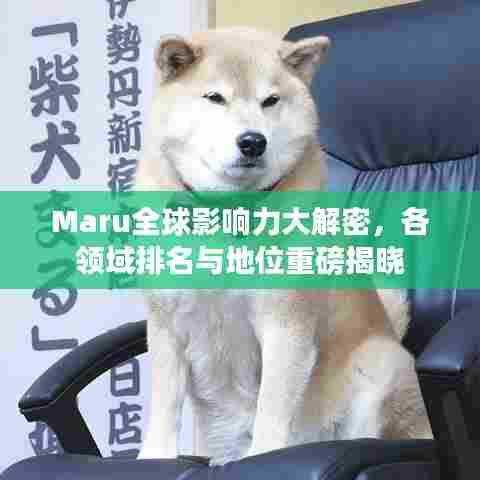Maru全球影响力大解密，各领域排名与地位重磅揭晓