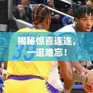 揭秘惊喜连连，一逛难忘！