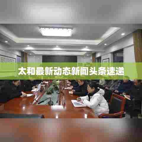 太和最新动态新闻头条速递