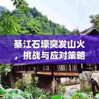 綦江石壕突发山火，挑战与应对策略
