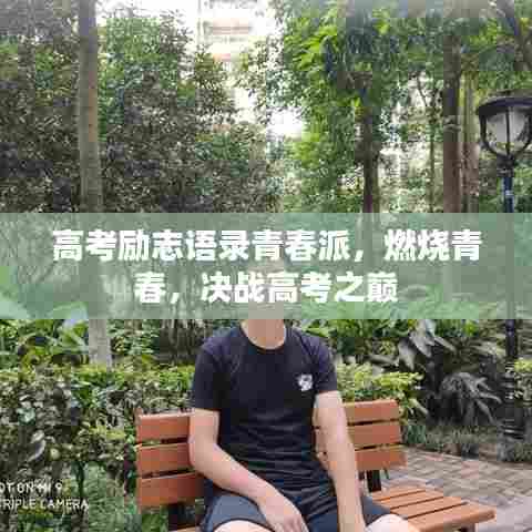 高考励志语录青春派，燃烧青春，决战高考之巅