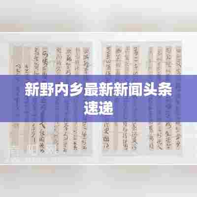 新野内乡最新新闻头条速递