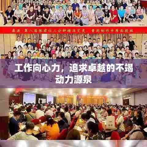 工作向心力，追求卓越的不竭动力源泉