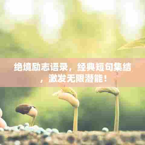 绝境励志语录，经典短句集结，激发无限潜能！