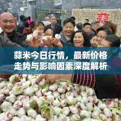蒜米今日行情，最新价格走势与影响因素深度解析
