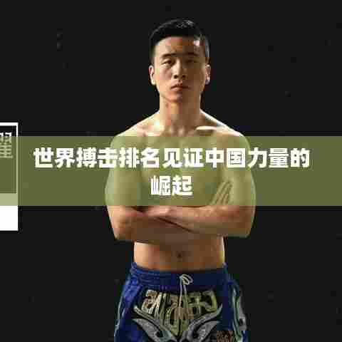 世界搏击排名见证中国力量的崛起