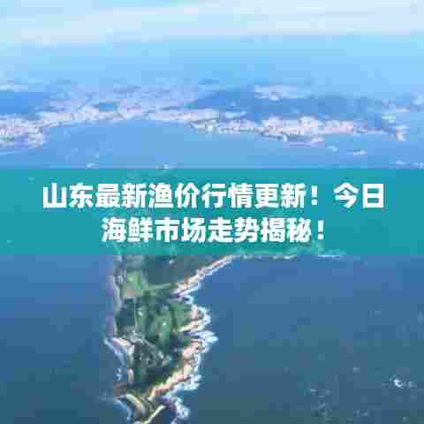 山东最新渔价行情更新！今日海鲜市场走势揭秘！