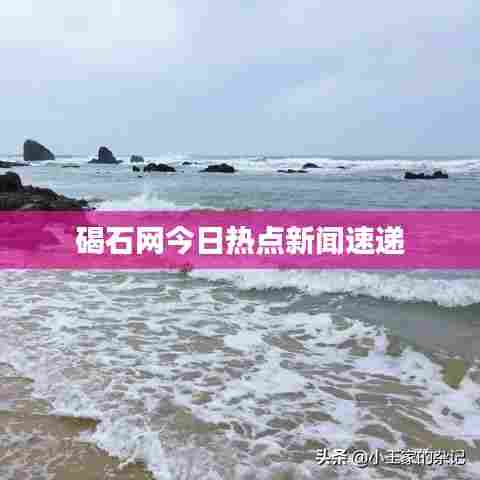 碣石网今日热点新闻速递