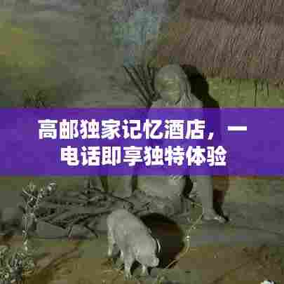 高邮独家记忆酒店，一电话即享独特体验