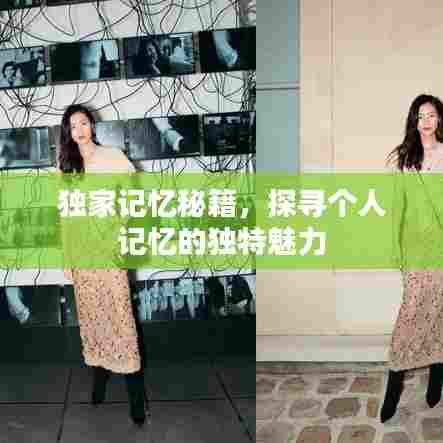 独家记忆秘籍，探寻个人记忆的独特魅力