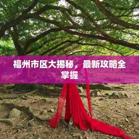 福州市区大揭秘，最新攻略全掌握