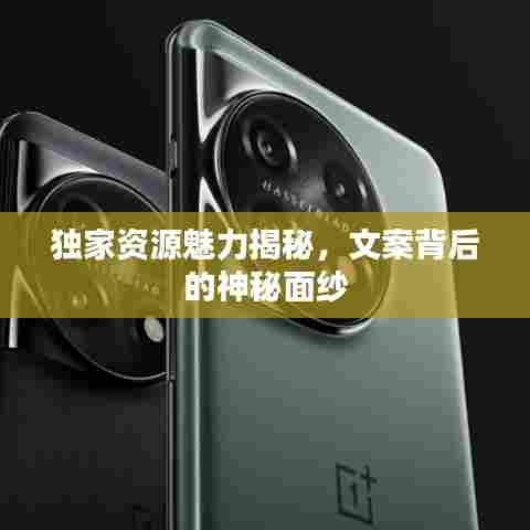 独家资源魅力揭秘，文案背后的神秘面纱
