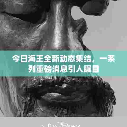 今日海王全新动态集结，一系列重磅消息引人瞩目