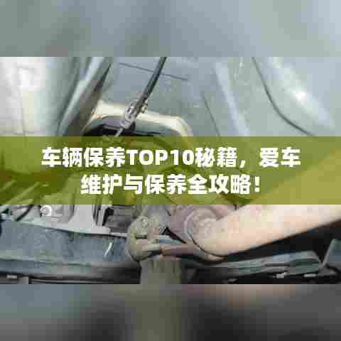 车辆保养TOP10秘籍，爱车维护与保养全攻略！