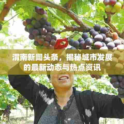 渭南新闻头条，揭秘城市发展的最新动态与热点资讯