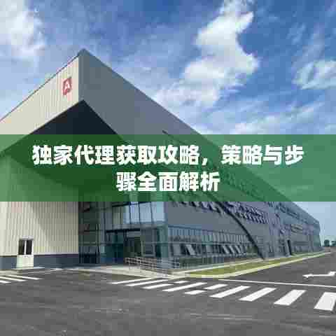 独家代理获取攻略，策略与步骤全面解析