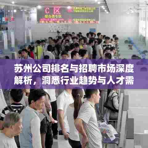 苏州公司排名与招聘市场深度解析，洞悉行业趋势与人才需求