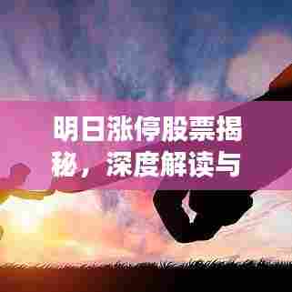 明日涨停股票揭秘，深度解读与百度搜索策略助你洞悉先机